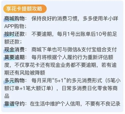 羊小咩便荔卡套，费用详解与案例分析