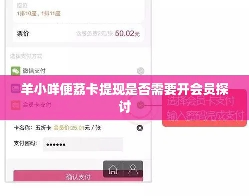 羊小咩便荔卡余额宝提现全攻略，手把手教你安全提现还不踩坑
