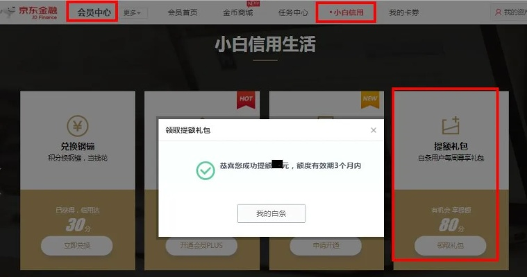 京东白条购物金能提现吗？一篇说透所有情况的指南