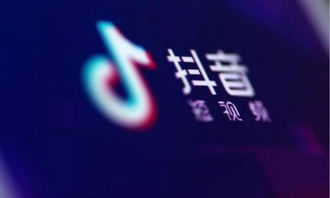 抖音月付提现结果详解，成功与失败案例分析