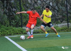 桃尧乡村足球赛激烈对决，冠军归属与赛事实录