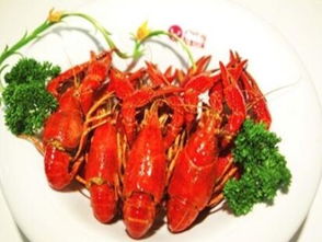 长沙特色餐饮加盟品牌推荐