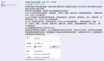 揭秘网络隐私保护，查开房记录的合法途径与潜在风险