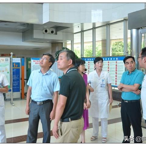 母婴品牌监管风暴，案例分析与应对策略