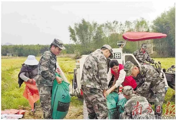 军魂铸就新乡村，退役军人如何为乡村振兴注入硬核力量