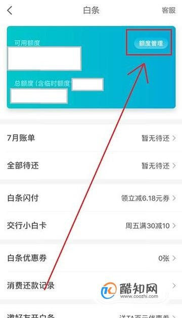 白条的金额怎么提现？详解提现流程与注意事项