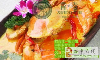 泰国菜加盟品牌推荐与案例分析