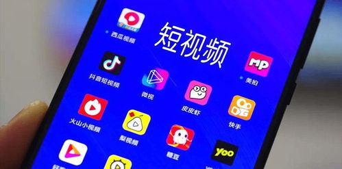 轻松解锁抖音月付额度，100元也能玩转数字消费