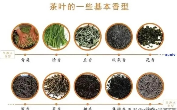 非茶类茶叶品牌全解析，你的养生新选择
