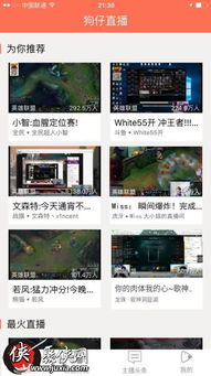 手把手教你玩转熊猫直播，3种高效搜索主播的姿势
