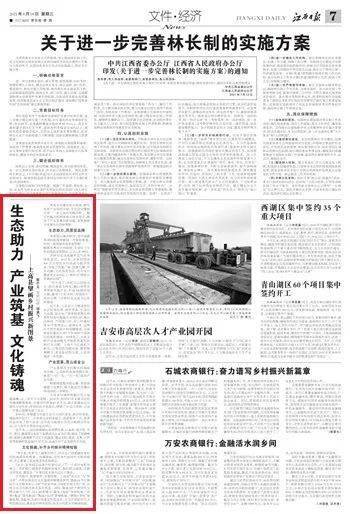 乡村振兴新路径，从产业到生态的全面升级