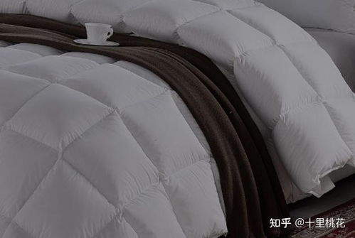 濮阳小鸭绒被选购指南，哪里买最靠谱？价格、质量、口碑全解析