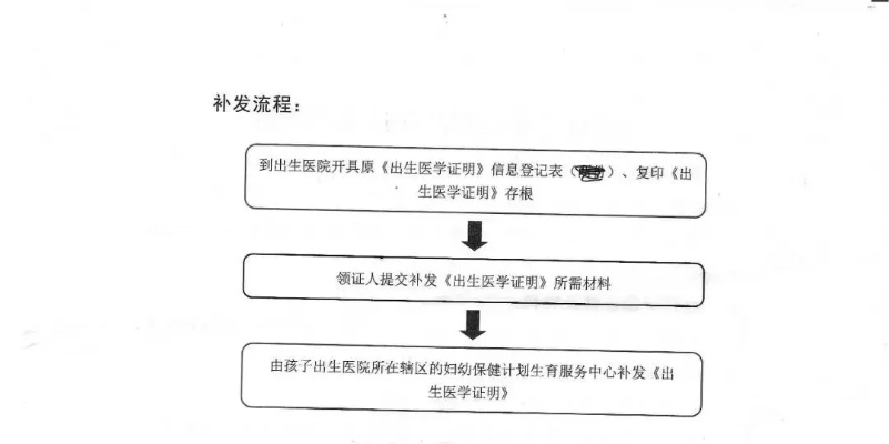 乡村接生办理出生证明全攻略，流程、常见问题与真实案例解析