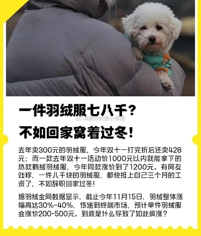 河南代购鸭绒被多少钱一床？手把手教你避坑省钱指南