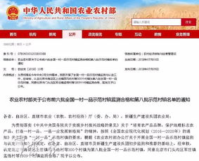 从土特产到流量密码，乡村网红店如何用土味逆袭出圈？