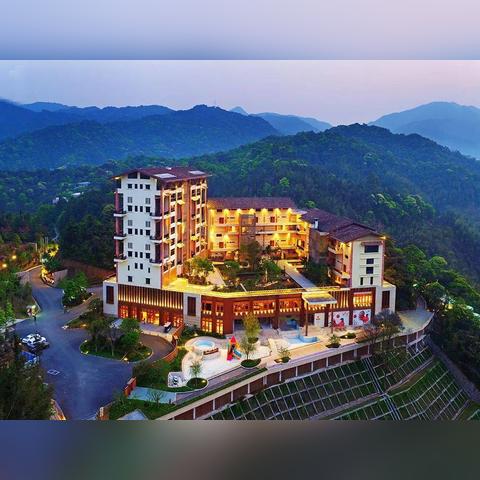手机哪里查酒店入住记录？详细指南在此