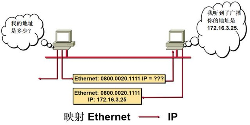 物理服务器IP是原生IP吗？一文说清网络配置中的真身与伪装