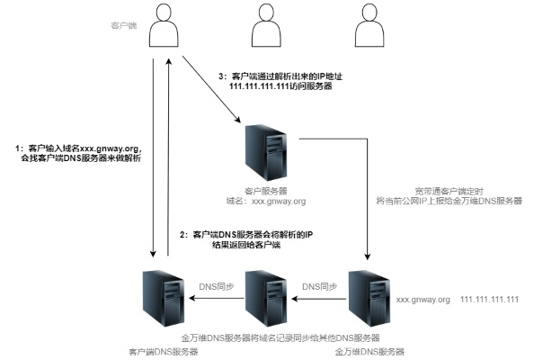 物理服务器IP是原生IP吗？一文说清网络配置中的真身与伪装