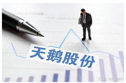 国产飞腾电脑品牌，崛起之路与未来展望