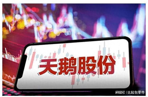 国产飞腾电脑品牌，崛起之路与未来展望