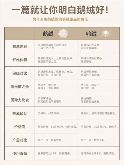 上海鸭绒被价格表全解析，从选购到保养的实用指南