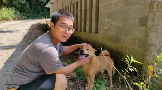 乡村寻狗指南，手把手教你找到那些自由的小家伙