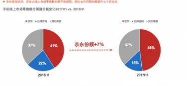 京东白条套现攻略，如何巧妙利用金融产品，实现资金最大化利用
