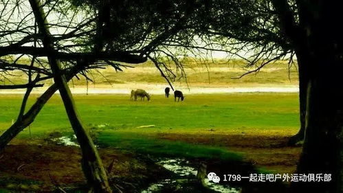 户外品牌LA，探索自然，享受生活
