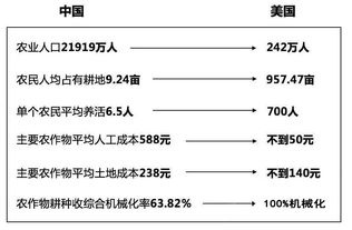 四川省乡村企业用地申请全攻略，流程、案例与常见问题解答