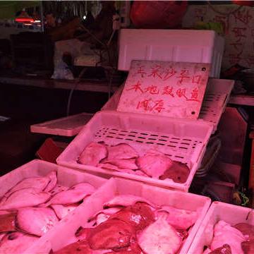 海鲜冻货批发加盟品牌大全，探秘市场热门选择