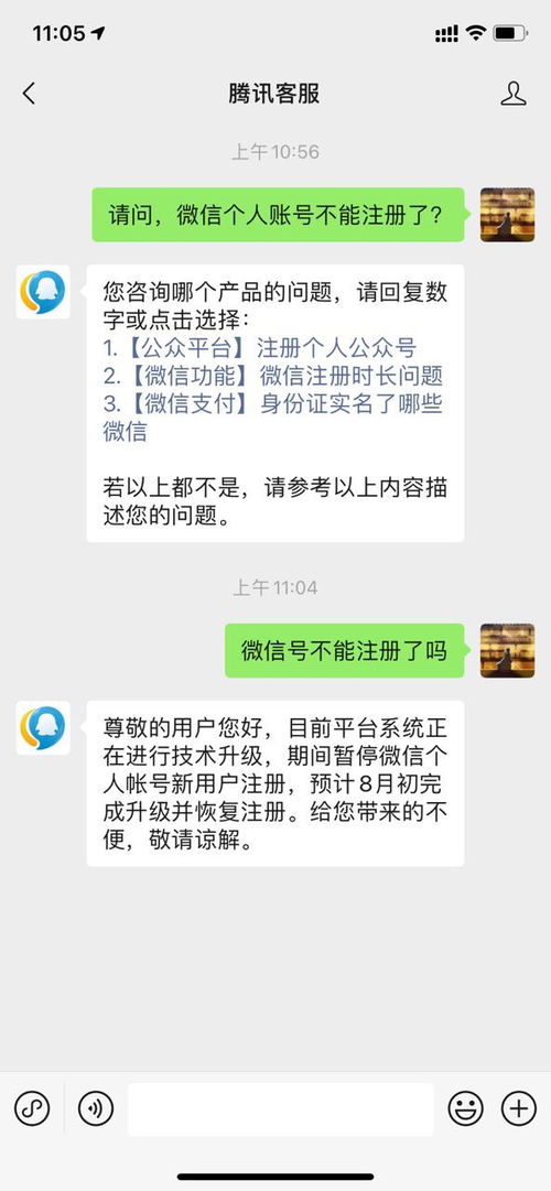 揭秘陌陌聊天记录安全，黑客能否找回丢失的数据？解析背后的风险与应对之策