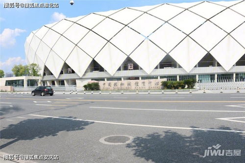 新疆发货鸭绒被价格全解析，从几十到上千元怎么选？