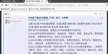 在线查开房记录，真相、风险与法律边界