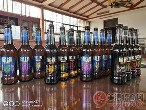 精酿啤酒加盟品牌推荐，深度解析热门品牌与案例
