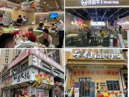 能加盟的小餐饮热门品牌推荐