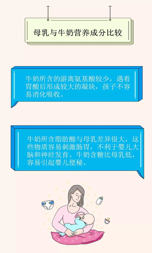 手把手教你正确使用羊小咩便荔卡，从拆封到维护全流程指南