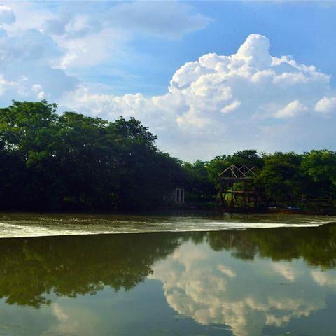 拍出治愈系乡村小河流水的秘诀，设备、技巧与实战指南