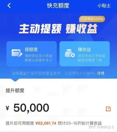 鹿优选额度提现指南，额度不足应对策略与案例分析