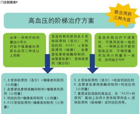 户外品牌标设计要点与实用案例分析