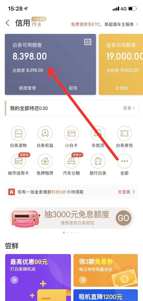 白条新用户取现全攻略，操作、疑问与案例解析