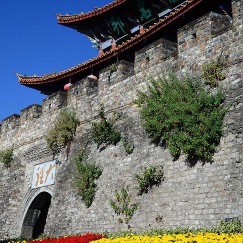 羊小咩享花卡免费套出，这是什么意思？一文给你讲明白