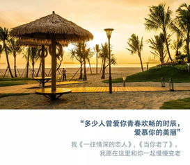 户外品牌ALPINT，探索自然，享受生活