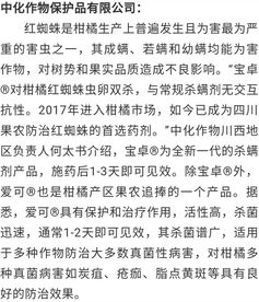 如何做好一名乡村专干，从入门到精通的实战指南