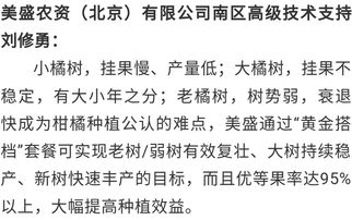 如何做好一名乡村专干，从入门到精通的实战指南