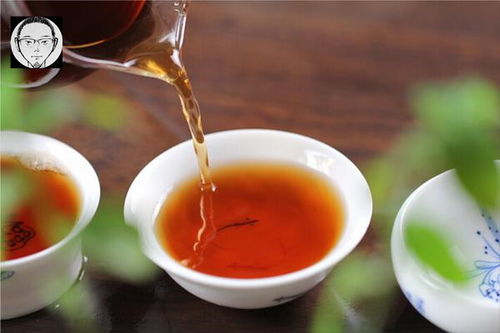 茶叶冷萃品牌排名榜，2023年冷萃茶饮市场深度解析