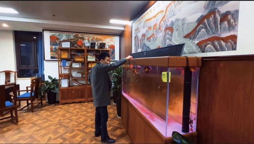 摄影工作室加盟品牌推荐—探秘热门加盟品牌