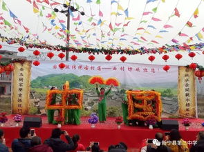 乡村夏令联欢会布置全攻略，如何打造热闹又温馨的乡村派对？