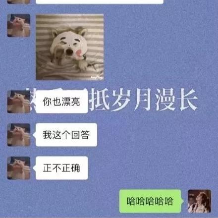 掌握他人聊天记录的秘诀
