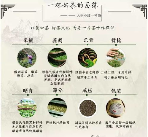 普洱中药面膜品牌全解析，成分、功效与选购指南