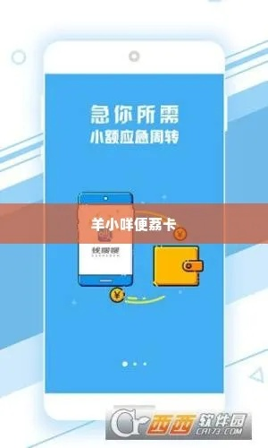 存入羊小咩便荔卡的钱怎么取现？手把手教你3种取现方式+避坑指南